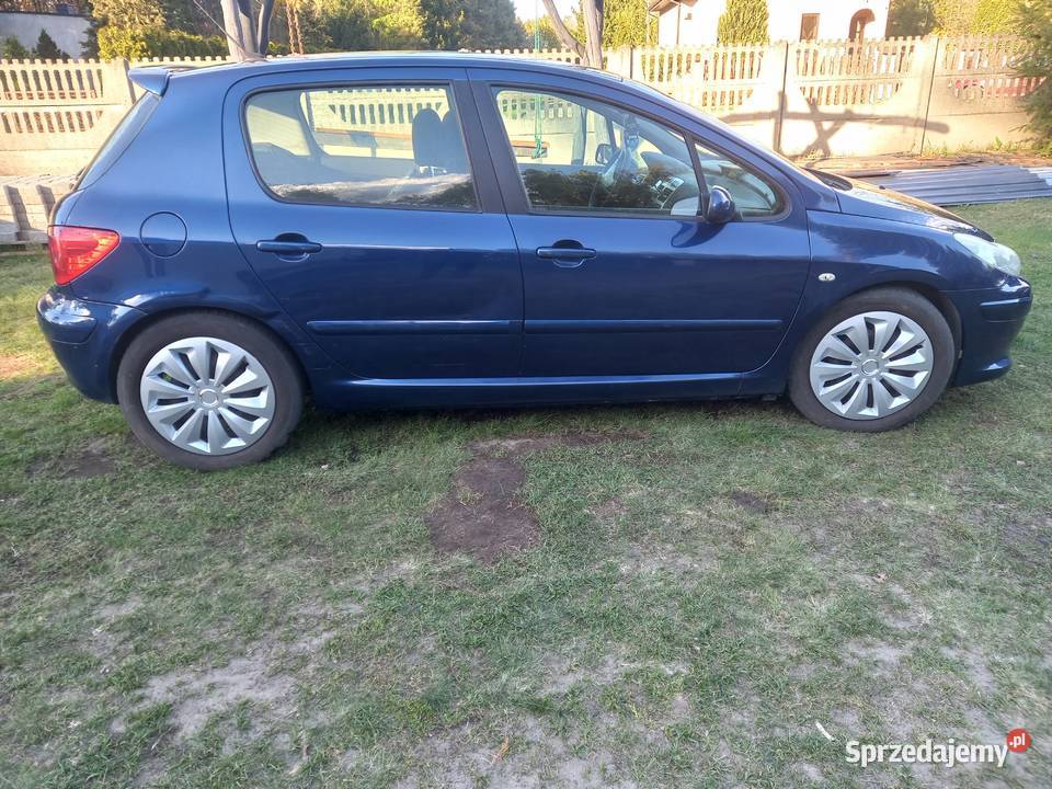 Peugeot 307 Sieradz
