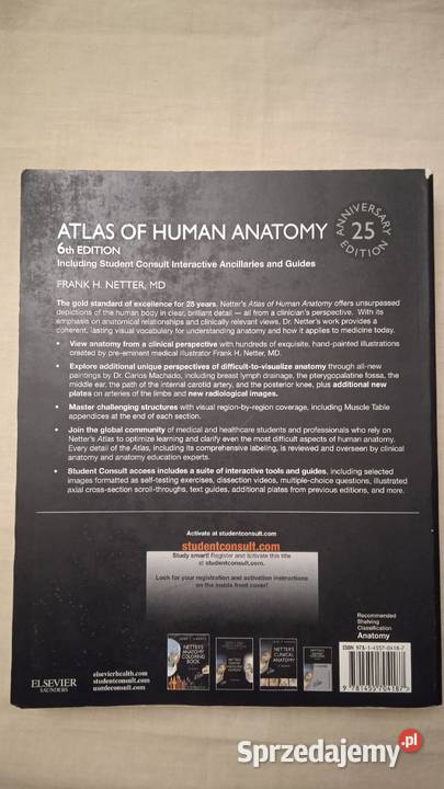 Atlas Human Anatomy Frank Netter Warszawa