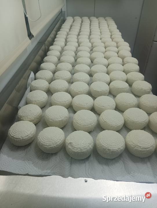 Serek wędzony włoskiego wielkopolskie Środa Wielkopolska