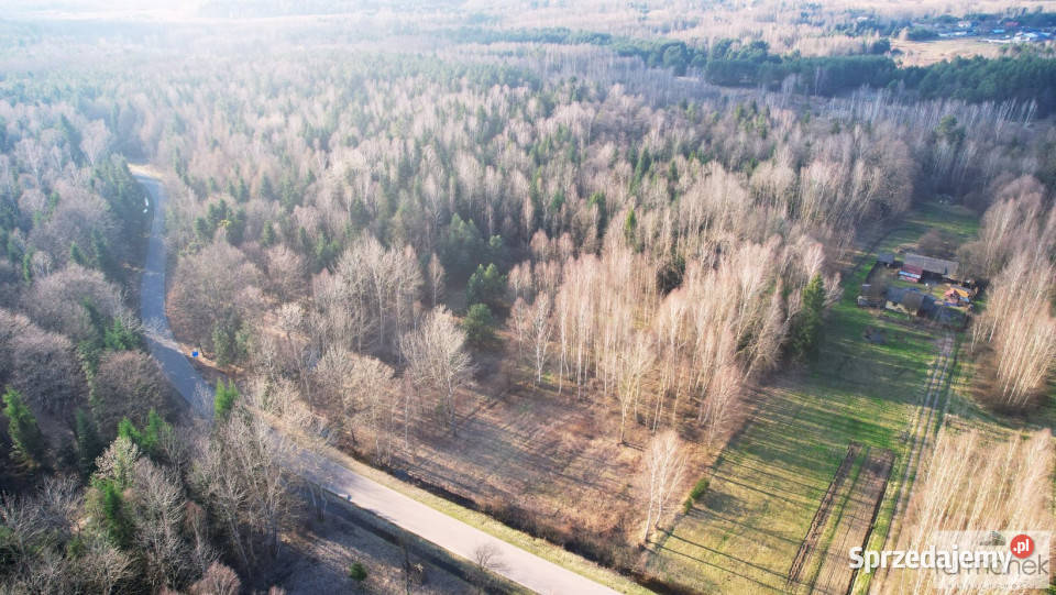 Sprzedam grunt 30288 metrów Ciosmy Sprzedaż