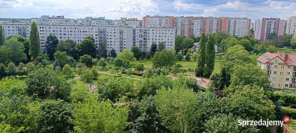 Mieszkanie 3 pokojowe z widokiem na park 637 m2 wielka płyta Sprzedaż Warszawa