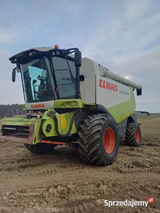Claas lexion 560 Międzychód