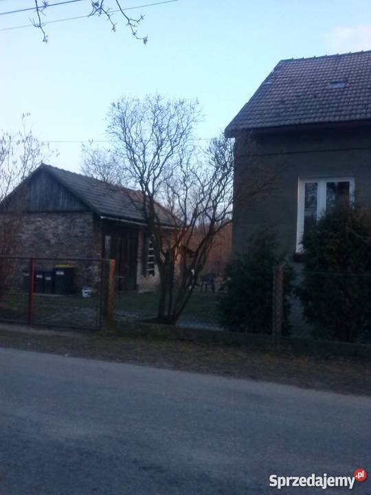 Dom Sosnowiec Cieśle na dużej działce piwnica Sosnowiec