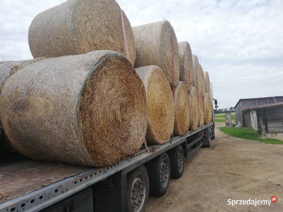 Słoma siano Sianokiszonka Bele 130 Zapewniam Przasnysz