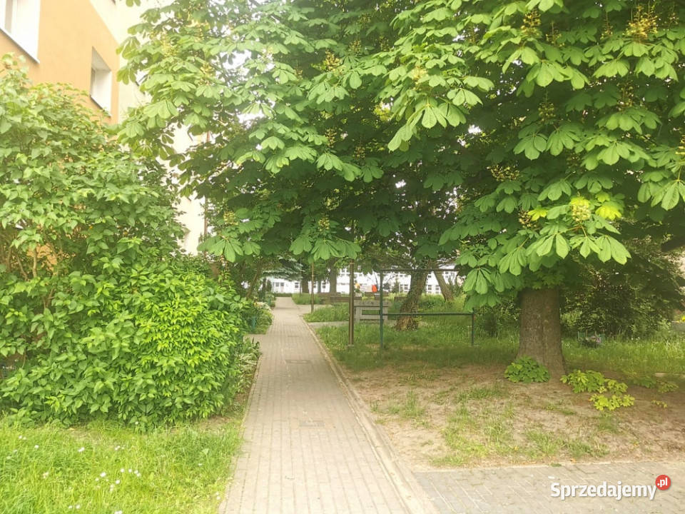 Bez prowizji remoncie 43 mkw parter k WSIZ i podkarpackie Rzeszów sprzedam