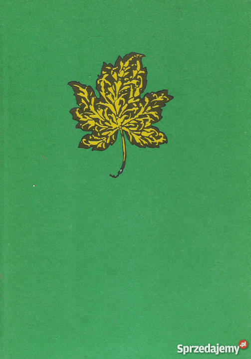 Lato leśnych ludzi M Rodziewiczówna Pozostałe