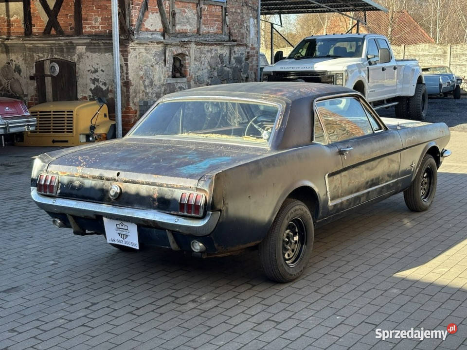Ford Mustang Ford Mustang Coup 1965 110 Do Sulechów