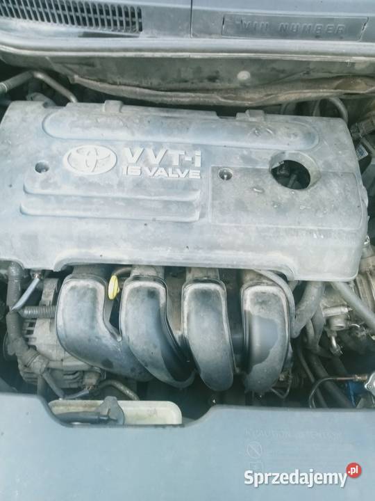 Toyota Corolla Verso Radom