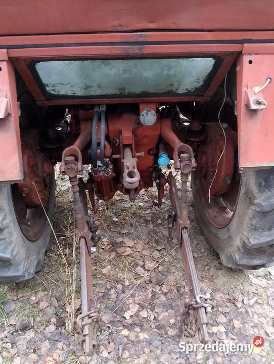 Wladimirec t25 Ślesin