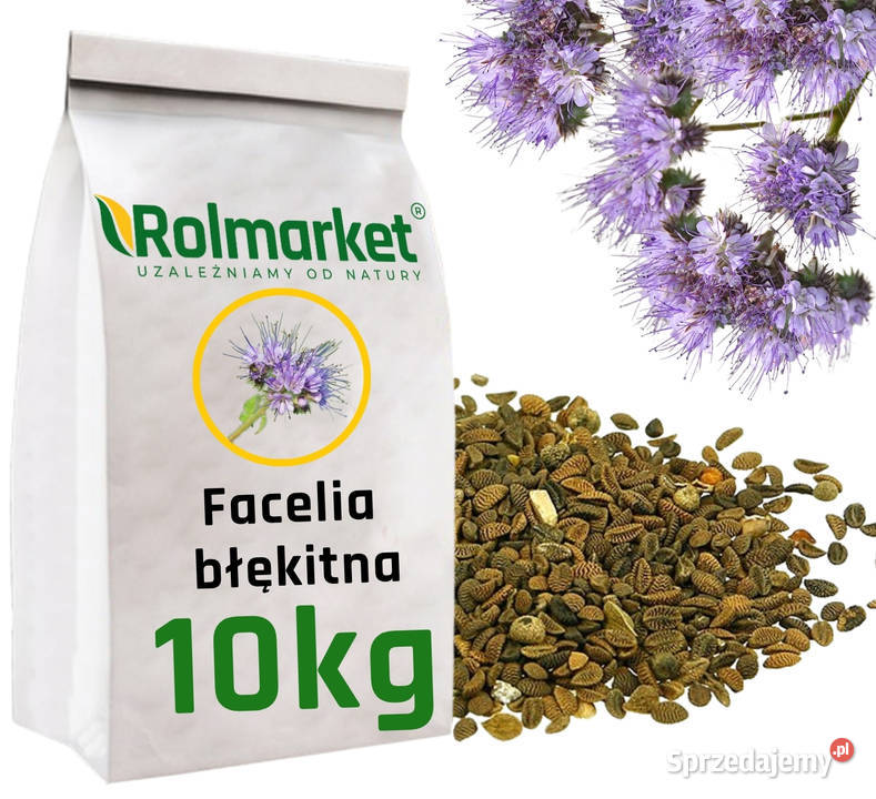 Nasiona Łubin Facelia Gorczyca Wyka Mieszanka Pozostałe