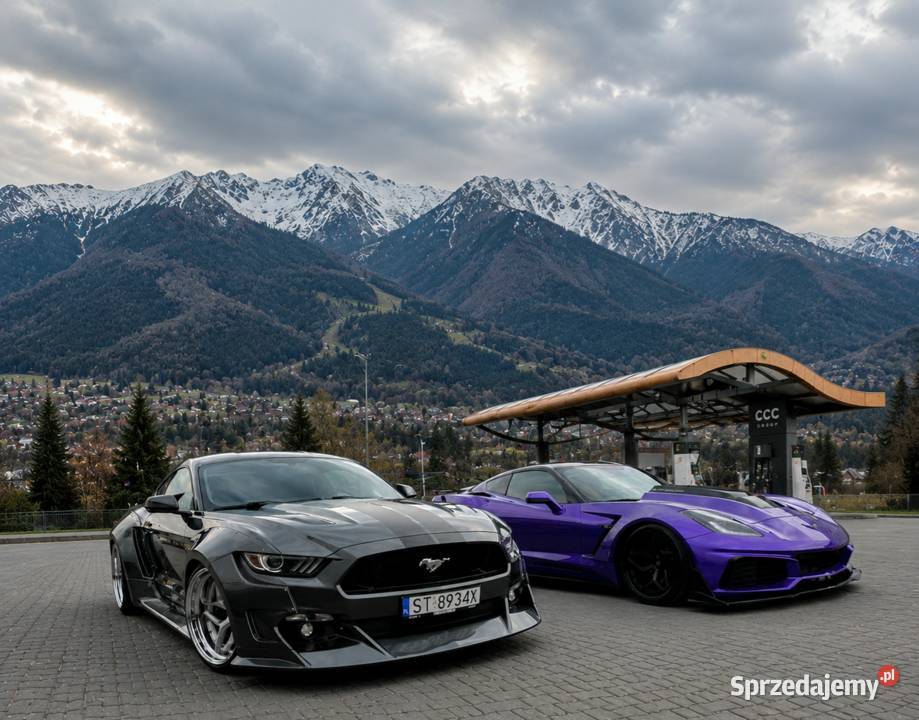 Mustang GT 50 Widebody Tychy
