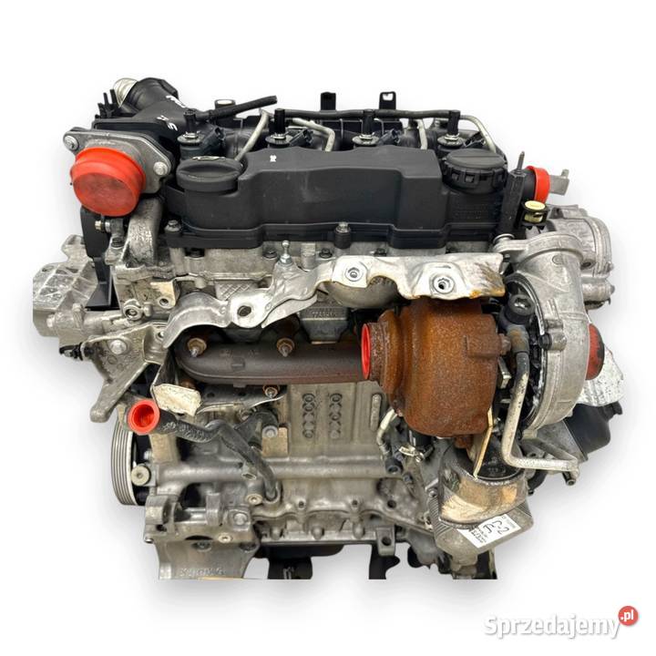 SILNIK KOMPLETNY G8DD Ford Focus II MK2 C C 16 Chełm