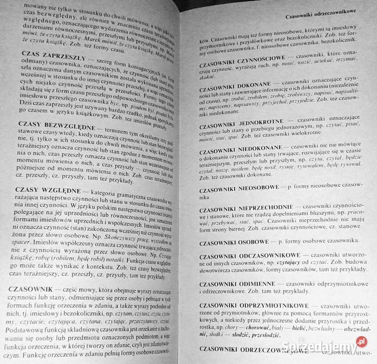 Szkolny słownik terminów nauki o języku Jan Chełm