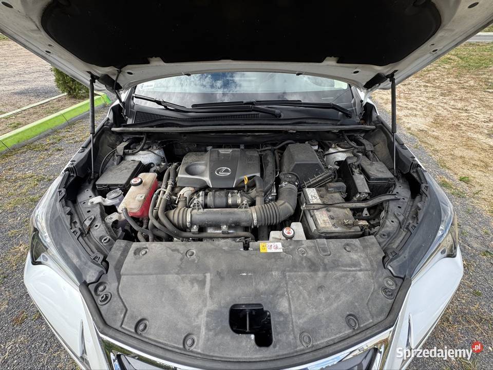 LEXUS NX200t Brodnica