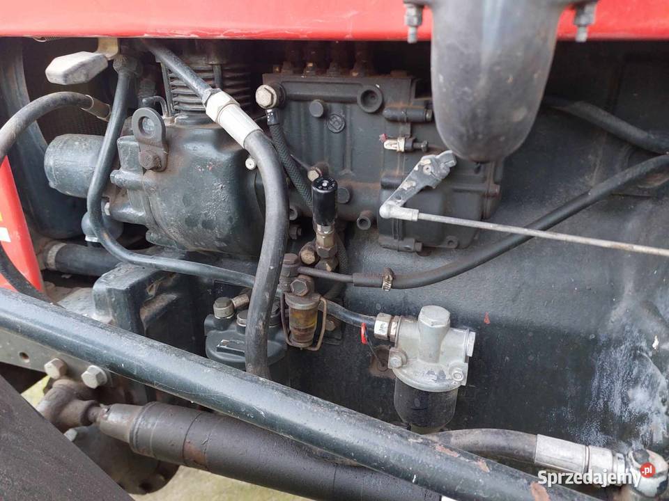 Zetor 7745 93 1000mtg wielkopolskie Borek Wielkopolski sprzedam