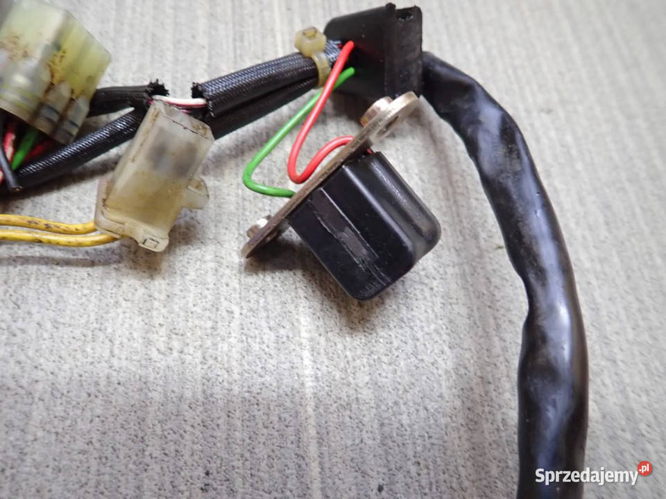 Impulsator Iskrownik Magneto Stator Uzwojenie Strzelce Krajeńskie