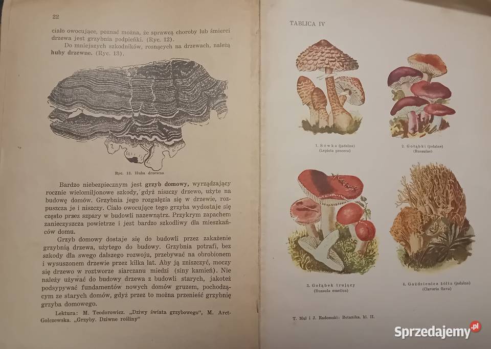 TMul i j Radomski Botanika Podr do biologii kl3 wielkopolskie Koźminek