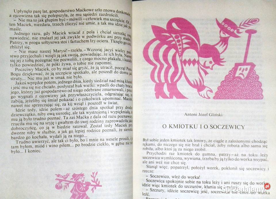 Kwiat paproci i inne baśnie polskie Hanna Chełm