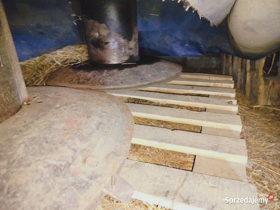 Sprzedam kosiarkę rotacyjną Rotacyjne Lgota Wielka