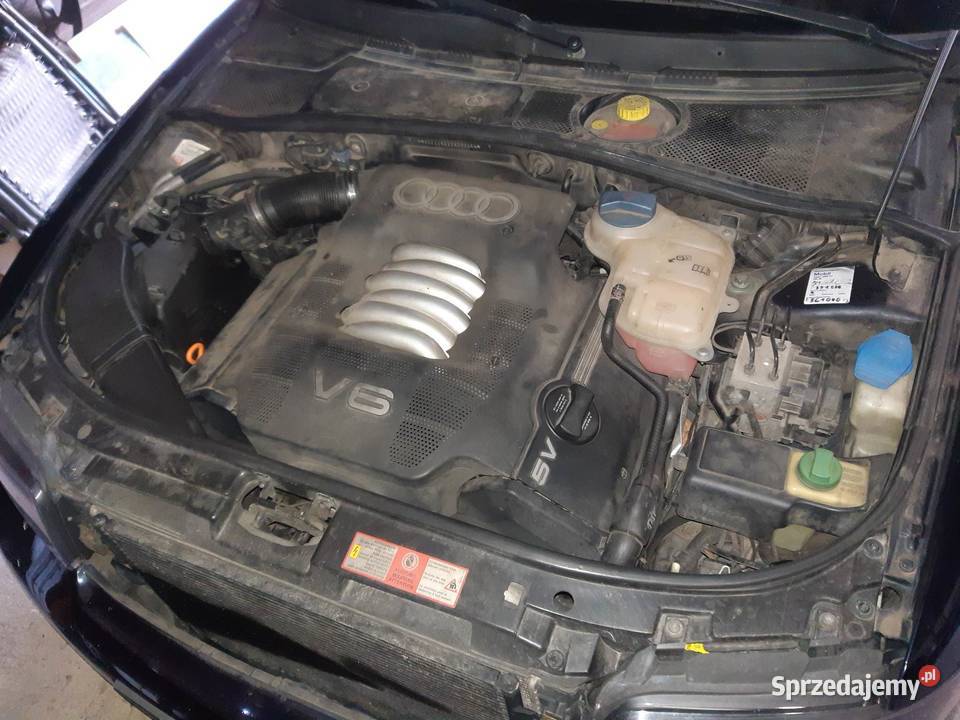 Audi A4 B5 V6 24 v6 big brake wydech kwas super Rok produkcji 1999 A4 opolskie Strzelce Opolskie