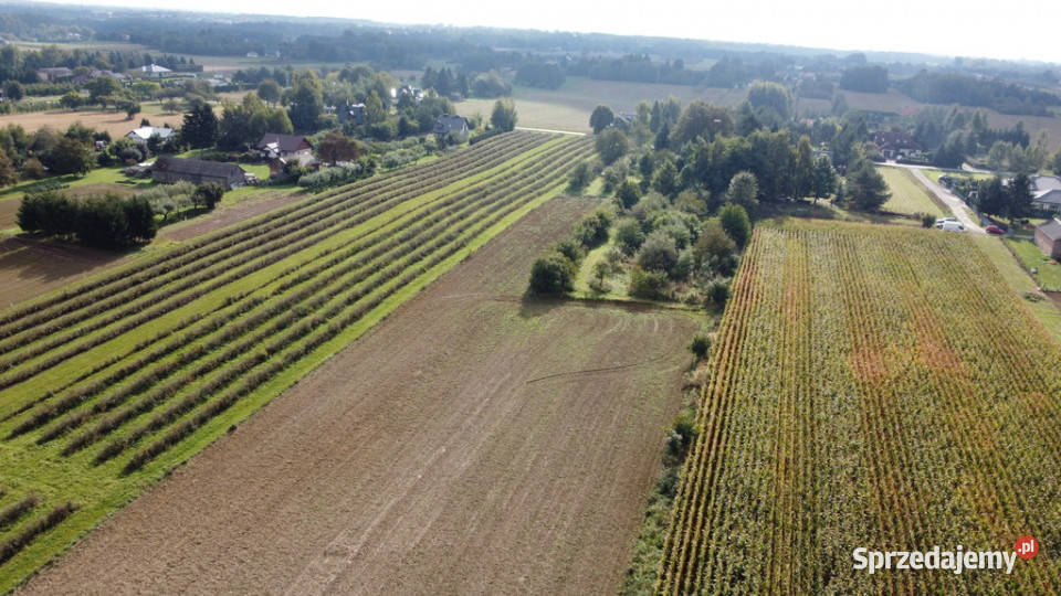 Działka Motycz 13 ar budownictwo jednorodzinne