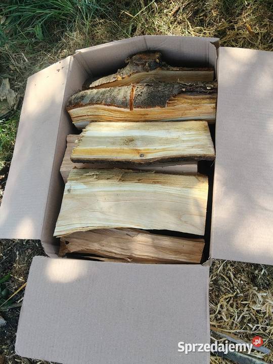 Drewno czereśnia do wędzenia Opał śląskie Miasteczko Śląskie sprzedam
