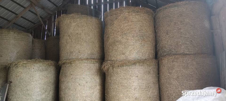 Siano zeszłoroczne Trawy, słoma Ciółkowo Małe sprzedam