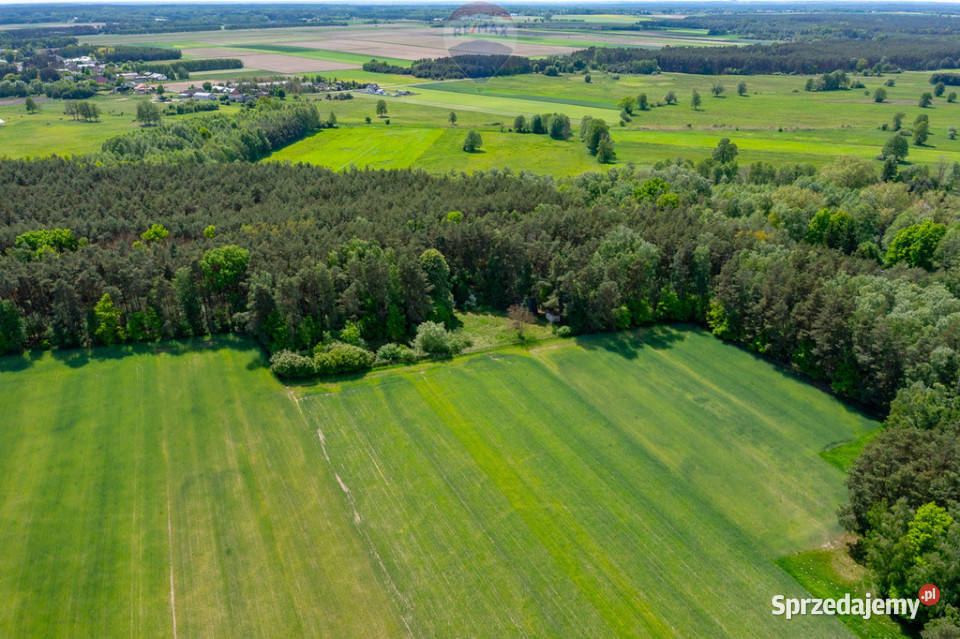 Budowlana 2300 m ze stawem i zielenią polna Sprzedaż Góry Prusinowskie