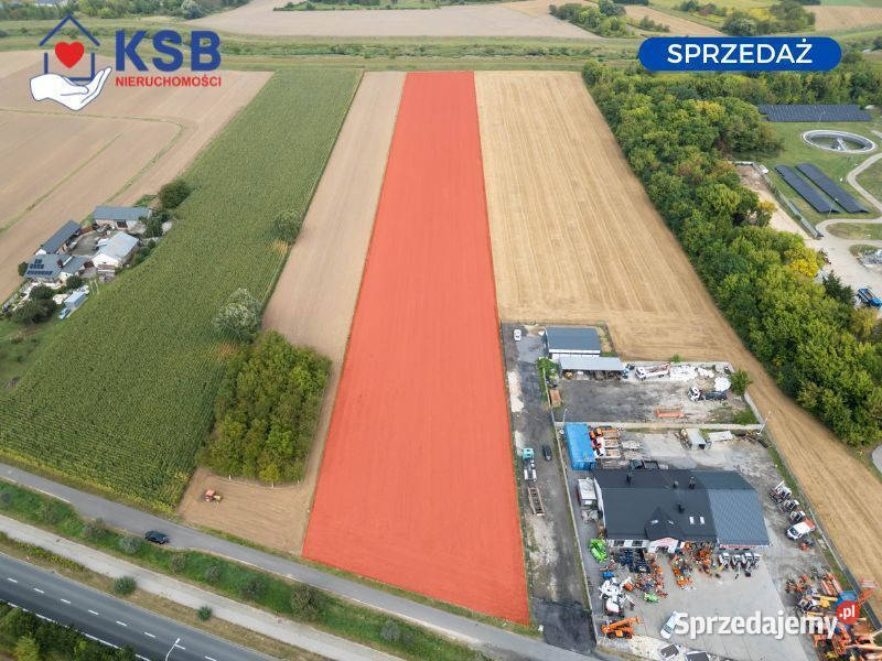 Działka rolna Aleja 25 Lecia Wolności 166ha świętokrzyskie Ostrowiec Świętokrzyski sprzedam