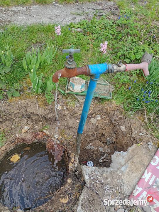 Działka ROD Wypoczynek Będzin sprzedam