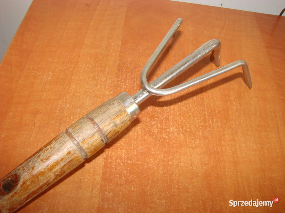 opielacz trzyzębne pazurki pomorskie Pruszcz Gdański