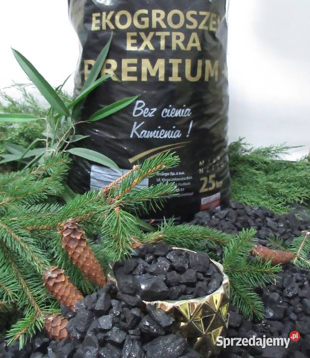 Ekogroszek Ekstra Premium łódzkie Łęczyca sprzedam