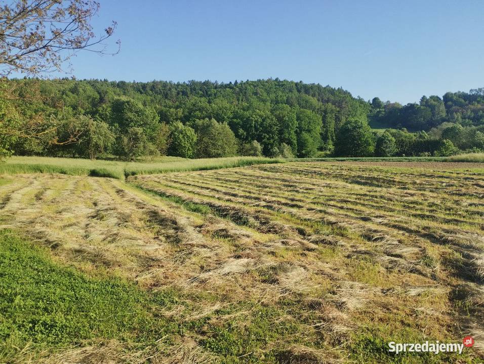 Działka 19a pod Rzeszowem podkarpackie Babica