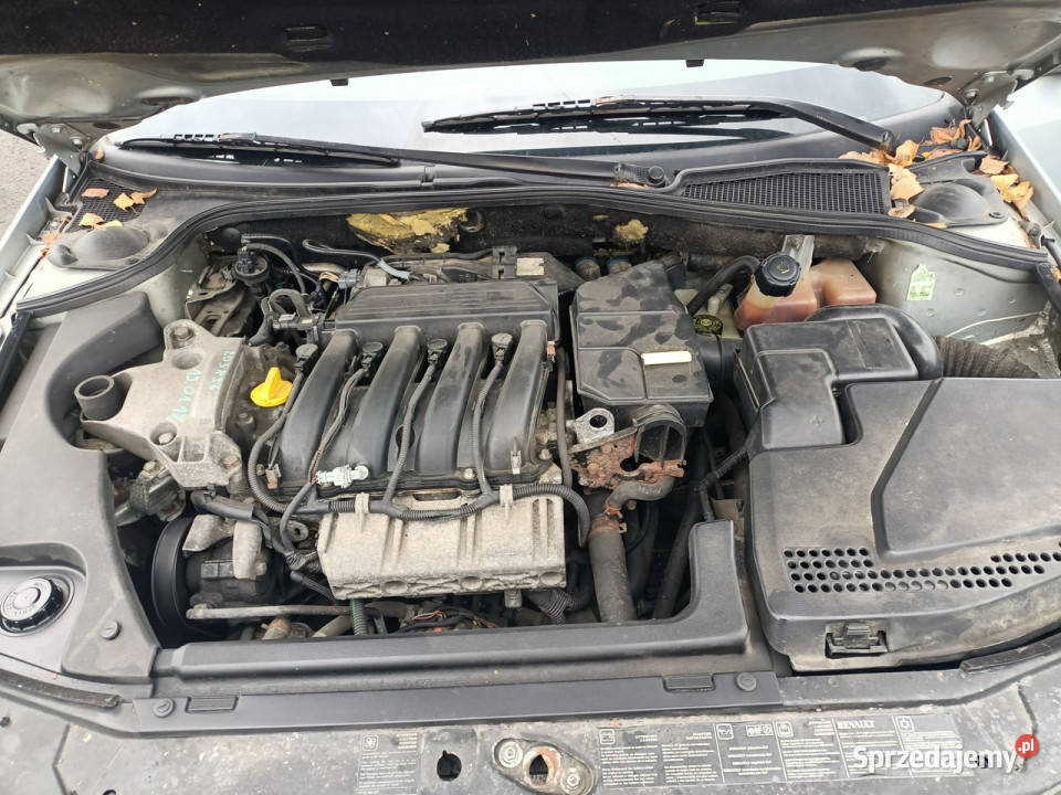 Renault Laguna Renault Laguna 16 bg 04r II nieuszkodzony Laguna Tarnów