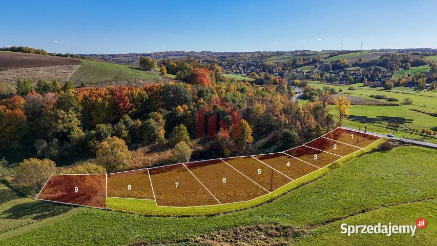 Działka Wielopole Skrzyńskie 1000m2 podkarpackie