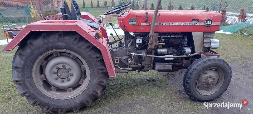 Massey Ferguson 158 sadowniczy Massey Ferguson Ciągniki Sarnówek sprzedam