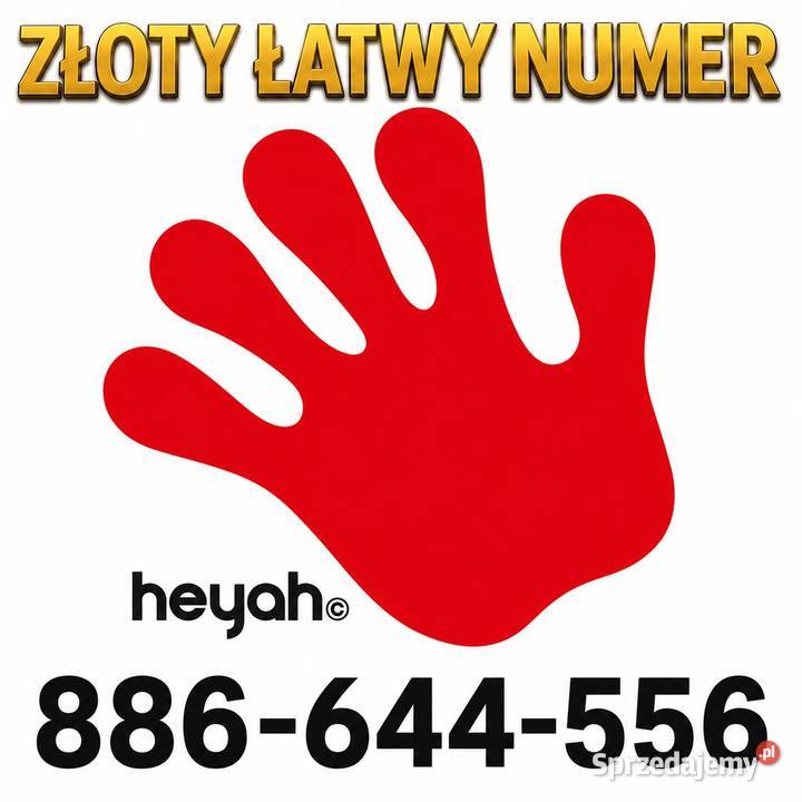 Złoty Łatwy Numer 886644556 Heyah Chroberz