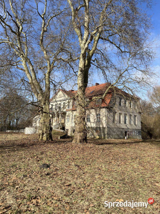 Na sprzedaż Zabytkowy Pałac z dużą działką Skórzyno