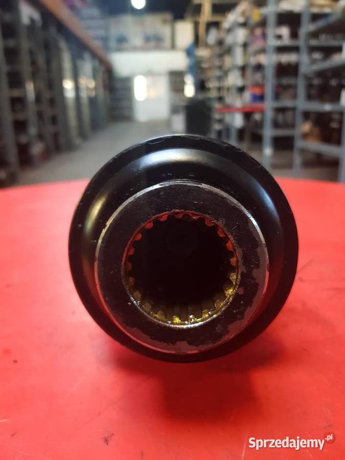 Widłak Bondioli Pavesi 5730G0384 Sulechów