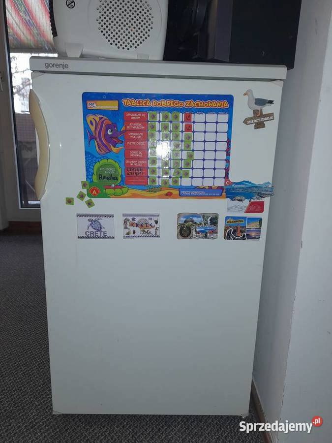 Sprzedam lodowke firmy Gorenje Tanio mam nowa Opole sprzedam