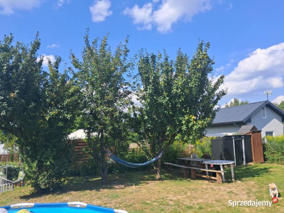 działka rekreacyjna ROD Kowal kujawsko-pomorskie