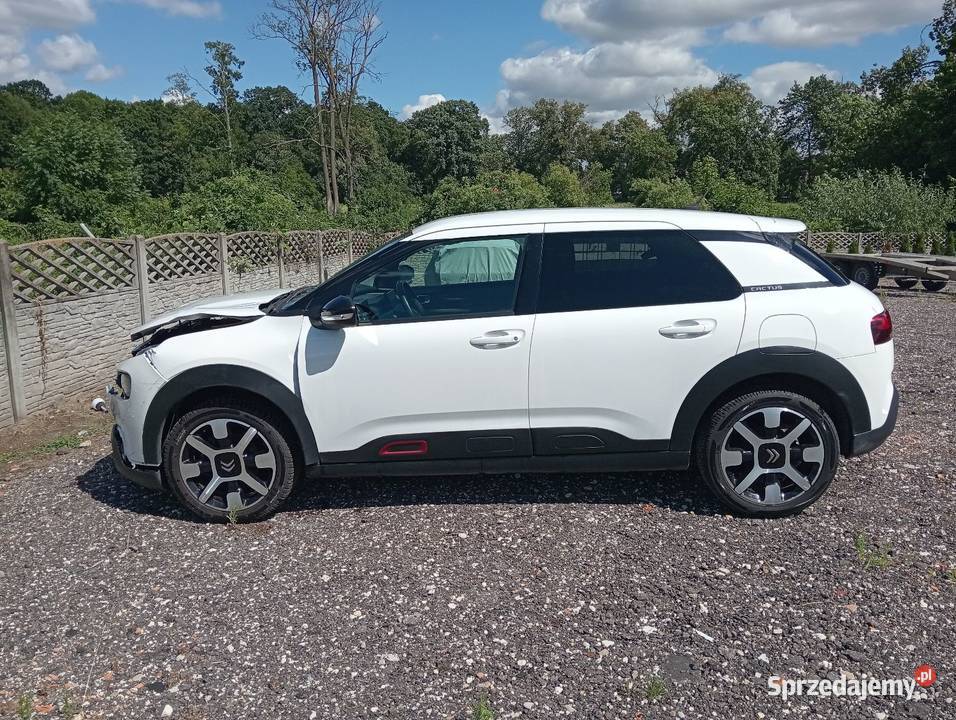 C4 cactus 12 automat Margonin