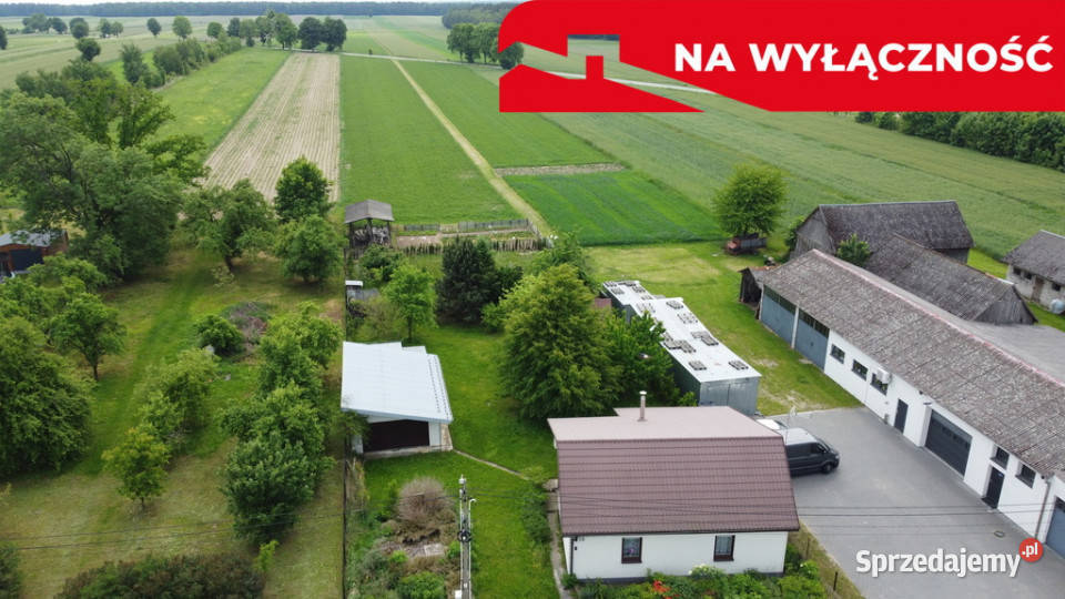Dom z drewna w Zielonce Starej pod Zwoleniem Zielonka Stara sprzedam
