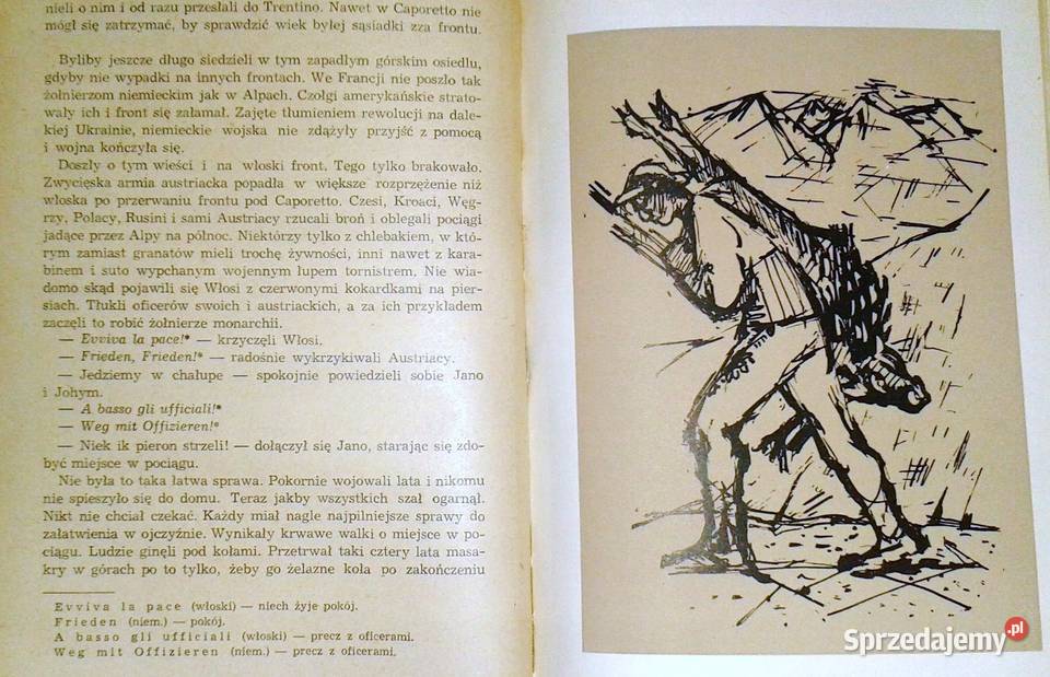 Konary Józef Kapeniak Chełm