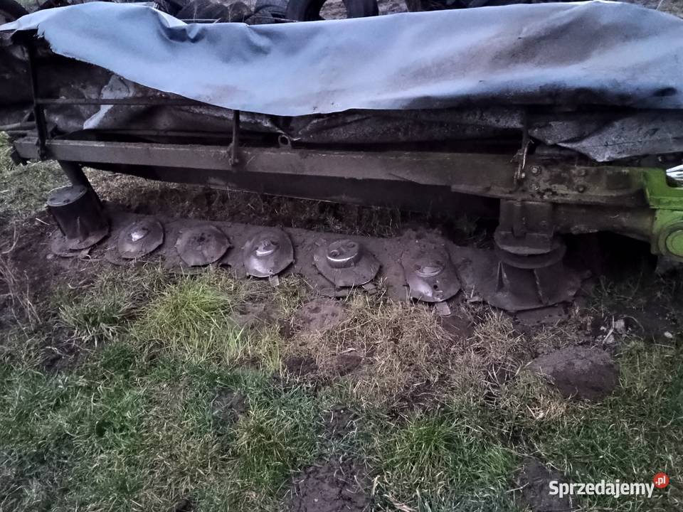 Sprzedam podlaskie