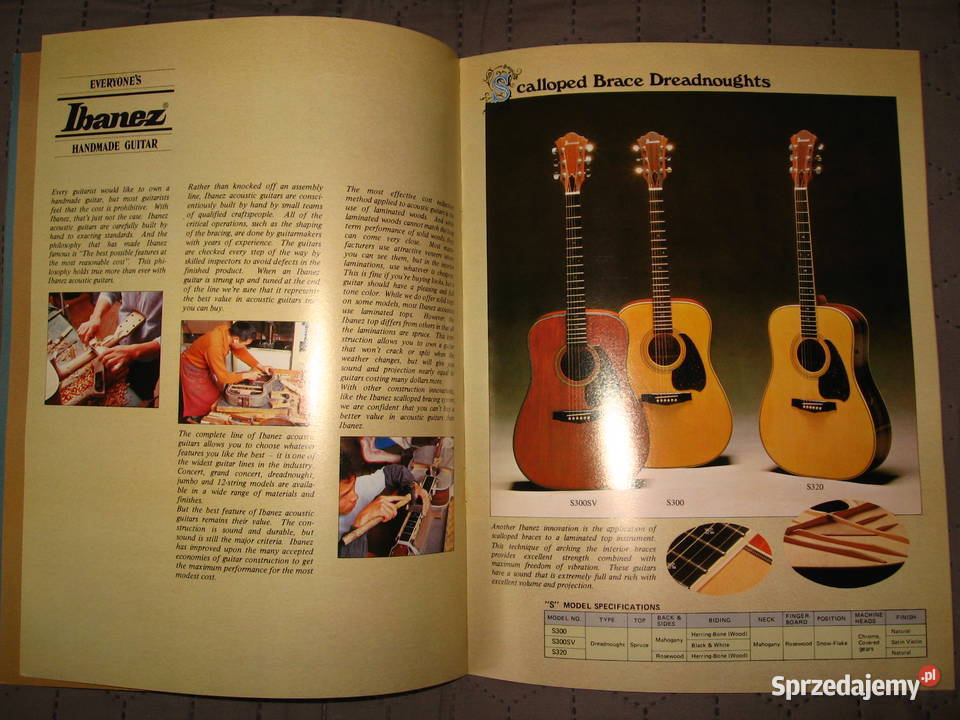 TAMAIbanez Acoustic Guitars katalog gitar Muzyka Kępice