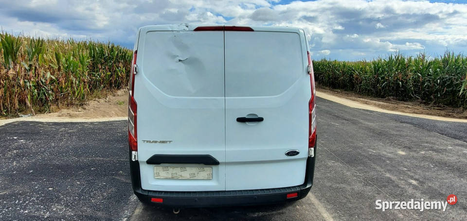 Ford Custom Ford custom Pleszew