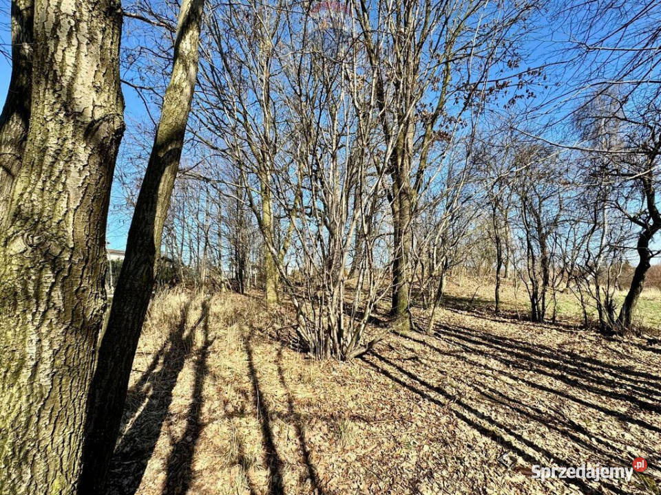 Działka budowlanousługowa Radlin Biertułtowy