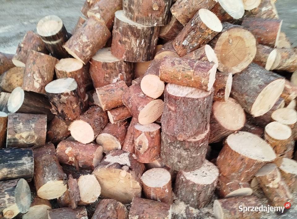 Sprzedam dżewo dęba sosnę podkarpackie Manasterz