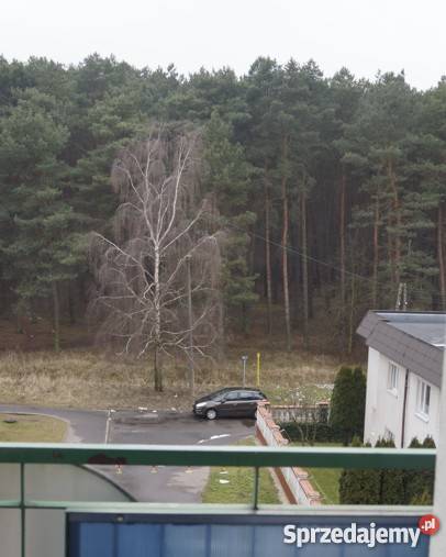 Mieszkanie Glinki Bydgoszcz pod lasem 61m2 4557zł/m2